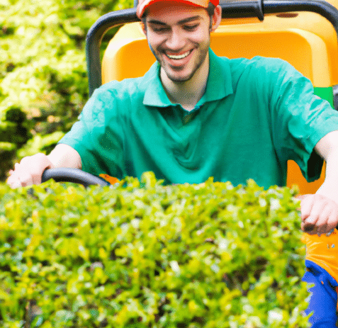 Landscape Your Way to Success: The Power of Money Drop Cards — Best Money Card